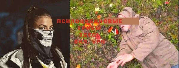 винт Богородицк